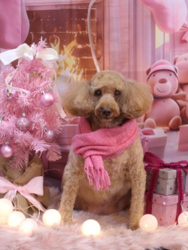 20241204ケンくん